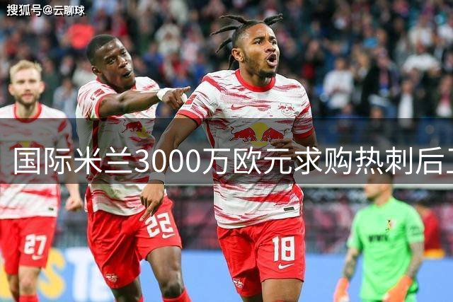 国际米兰3000万欧元求购热刺后卫斯彭斯